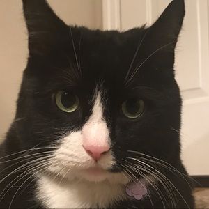 Meet your Posher, Jack